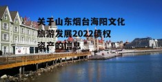 关于山东烟台海阳文化旅游发展2022债权资产的信息