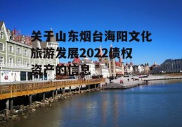 关于山东烟台海阳文化旅游发展2022债权资产的信息