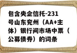 包含央企信托-231号山东兖州（AA+主体）银行间市场中票（公募债券）的词条