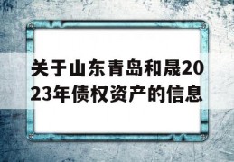 关于山东青岛和晟2023年债权资产的信息