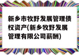 新乡市牧野发展管理债权资产(新乡牧野发展管理有限公司薪酬)