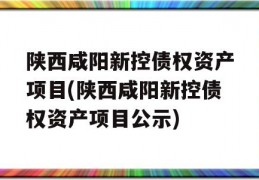 陕西咸阳新控债权资产项目(陕西咸阳新控债权资产项目公示)