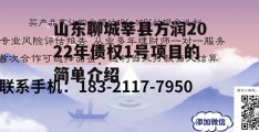 山东聊城莘县方润2022年债权1号项目的简单介绍