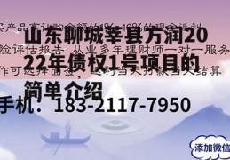 山东聊城莘县方润2022年债权1号项目的简单介绍