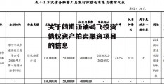 关于四川江油鸿飞投资债权资产拍卖融资项目的信息