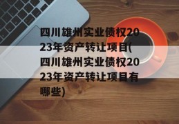 四川雄州实业债权2023年资产转让项目(四川雄州实业债权2023年资产转让项目有哪些)