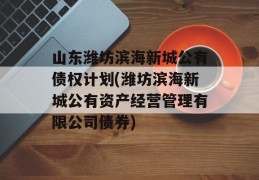 山东潍坊滨海新城公有债权计划(潍坊滨海新城公有资产经营管理有限公司债券)