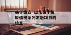 关于泰安·山东泰丰控股债权系列定融项目的信息