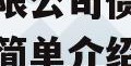 四川龙阳天府新区建设投资有限公司债权资产拍卖的简单介绍