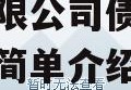 四川龙阳天府新区建设投资有限公司债权资产拍卖的简单介绍