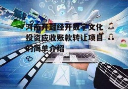 河南开封经开数字文化投资应收账款转让项目的简单介绍