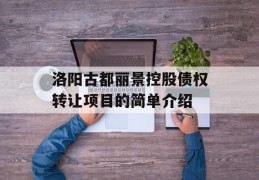 洛阳古都丽景控股债权转让项目的简单介绍