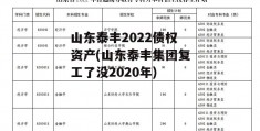 山东泰丰2022债权资产(山东泰丰集团复工了没2020年)