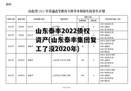 山东泰丰2022债权资产(山东泰丰集团复工了没2020年)