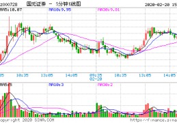 国元证券公司(国元证券副总裁)