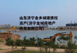 山东济宁金乡城建债权资产(济宁金城房地产开发有限公司)