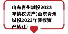 山东青州城投2023年债权资产(山东青州城投2023年债权资产转让)