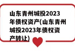 山东青州城投2023年债权资产(山东青州城投2023年债权资产转让)