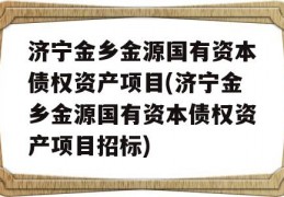 济宁金乡金源国有资本债权资产项目(济宁金乡金源国有资本债权资产项目招标)