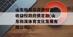 山东和晟投资债权资产收益权政府债定融(山东和晟体育文化发展有限公司)