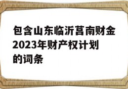 包含山东临沂莒南财金2023年财产权计划的词条