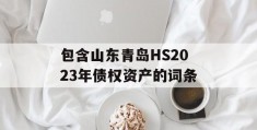 包含山东青岛HS2023年债权资产的词条