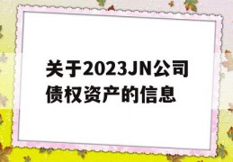 关于2023JN公司债权资产的信息