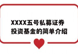 XXXX五号私募证券投资基金的简单介绍