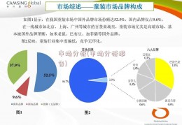 市场分析(市场分析报告)