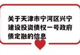 关于天津市宁河区兴宁建设投资债权一号政府债定融的信息