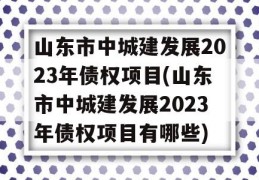 山东市中城建发展2023年债权项目(山东市中城建发展2023年债权项目有哪些)