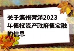 关于滨州菏泽2023年债权资产政府债定融的信息