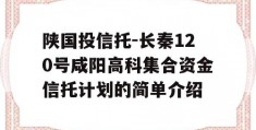 陕国投信托-长秦120号咸阳高科集合资金信托计划的简单介绍