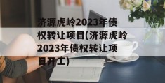 济源虎岭2023年债权转让项目(济源虎岭2023年债权转让项目开工)