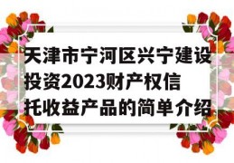 天津市宁河区兴宁建设投资2023财产权信托收益产品的简单介绍