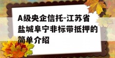 A级央企信托-江苏省盐城阜宁非标带抵押的简单介绍