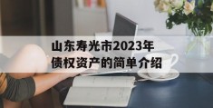 山东寿光市2023年债权资产的简单介绍