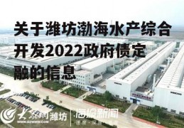 关于潍坊渤海水产综合开发2022政府债定融的信息