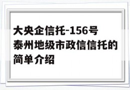 大央企信托-156号泰州地级市政信信托的简单介绍