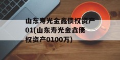 山东寿光金鑫债权资产01(山东寿光金鑫债权资产0100万)