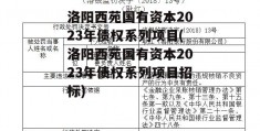 洛阳西苑国有资本2023年债权系列项目(洛阳西苑国有资本2023年债权系列项目招标)