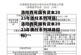 洛阳西苑国有资本2023年债权系列项目(洛阳西苑国有资本2023年债权系列项目招标)