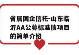 省属国企信托-山东临沂AA公募标准债项目的简单介绍