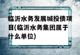 临沂水务发展城投债项目(临沂水务集团属于什么单位)