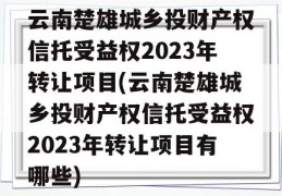 云南楚雄城乡投财产权信托受益权2023年转让项目(云南楚雄城乡投财产权信托受益权2023年转让项目有哪些)