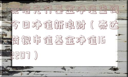 泰信先行基金净值查询今日净值新浪财（泰达荷银市值基金净值162207）