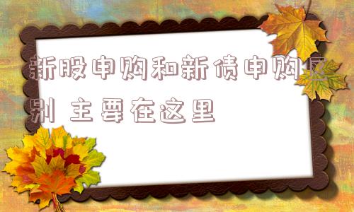 新股申购和新债申购区别 主要在这里