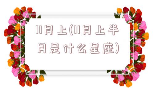 11月上(11月上半月是什么星座)