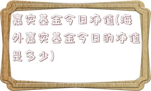 嘉实基金今日净值(海外嘉实基金今日的净值是多少)