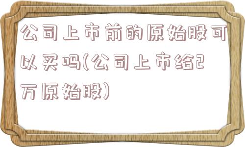 公司上市前的原始股可以买吗(公司上市给2万原始股)